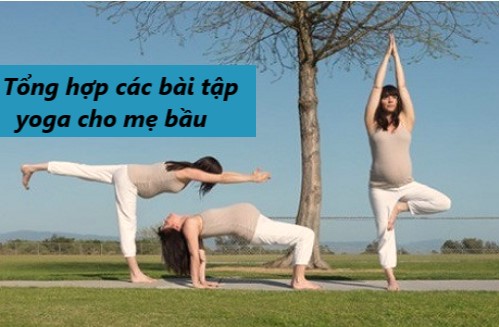 Tổng hợp các bài tập yoga cho bà bầu 