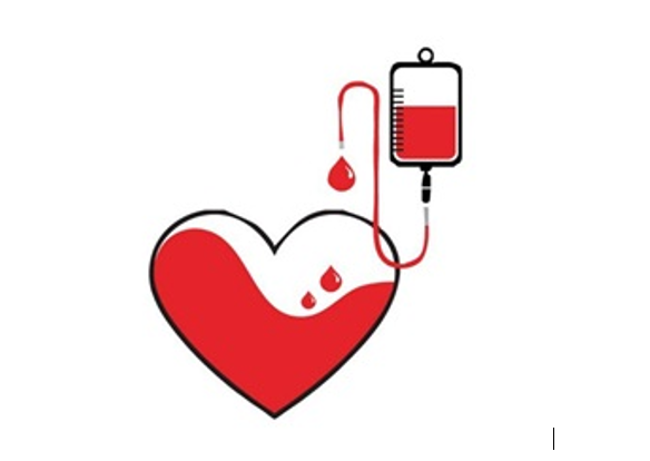 Bệnh lý Thalassemia – tan máu bẩm sinh
