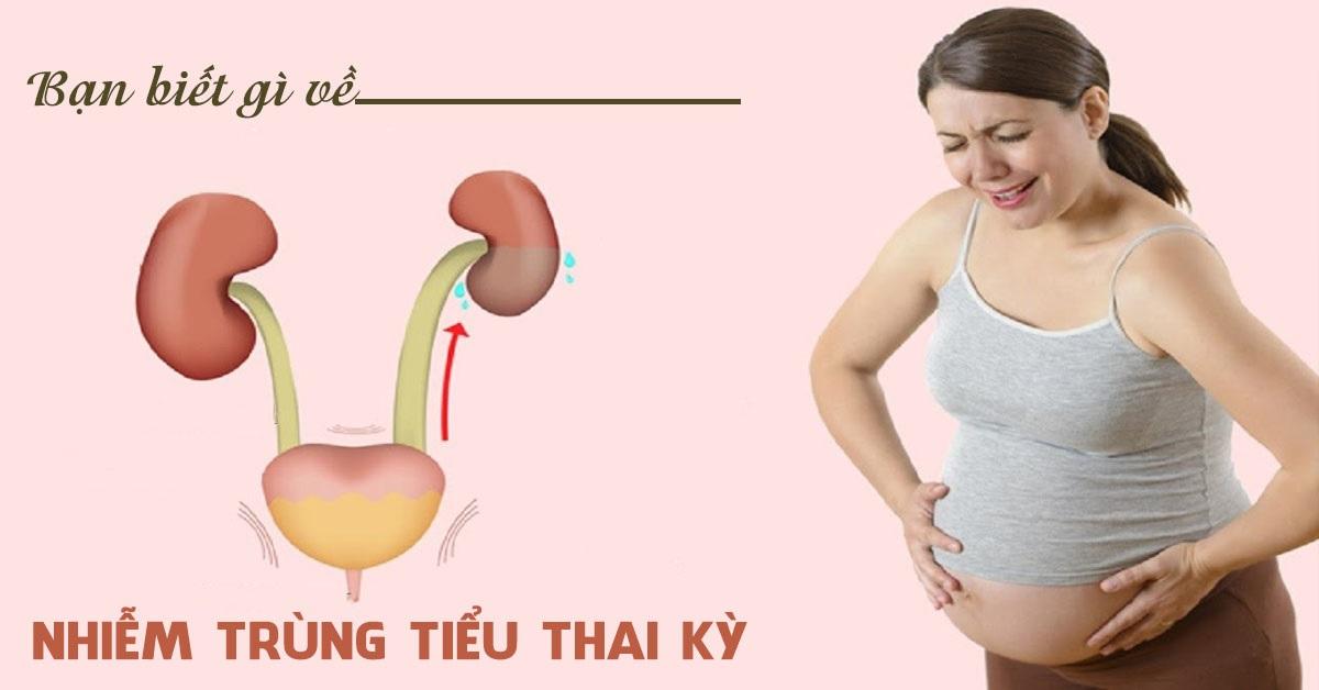 Nhiễm trùng đường tiết niệu trong quá trình mang thai