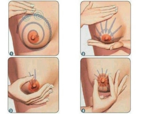 Hướng dẫn vắt sữa mẹ bằng tay