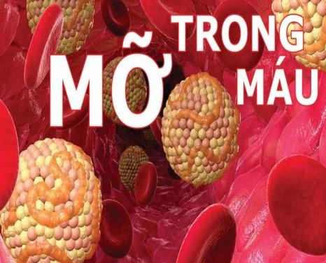 Máu nhiễm mỡ khi mang thai có nguy hiểm không?