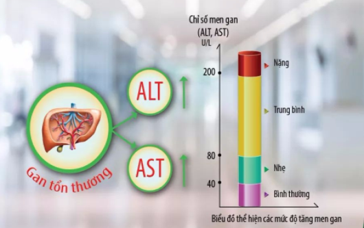 Xét nghiệm AST/ ALT là gì? Bao nhiêu là nguy hiểm?