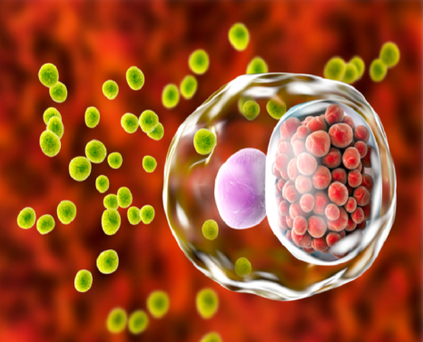 Nhiễm Chlamydia có dấu hiệu gì?
