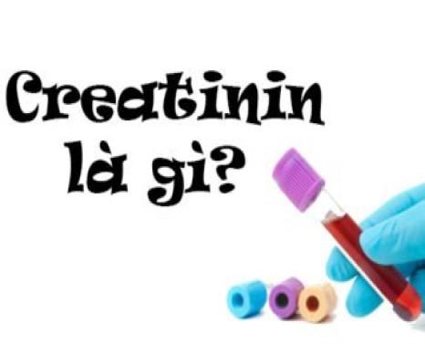 Xét nghiệm định lượng creatinin là gì?