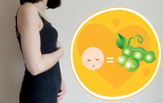 Sự thay đổi của mẹ bầu vào tuần thứ 6