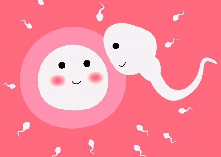 7 dấu hiệu rụng trứng bạn nên biết để tăng khả năng có thai