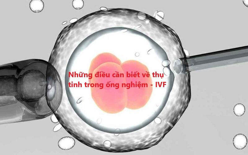 Những điều bạn cần biết về thụ tinh trong ống nghiệm IVF