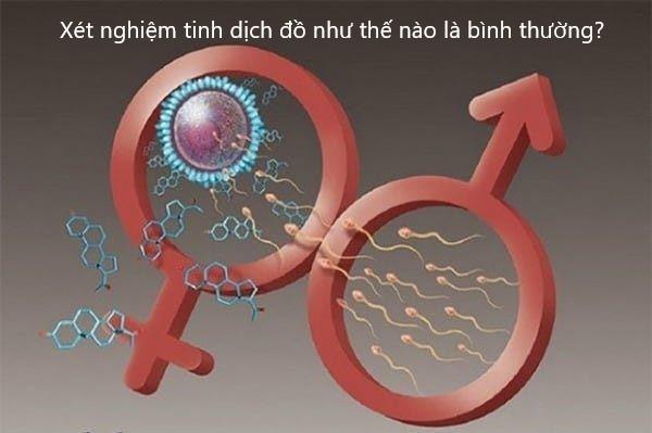 Xét nghiệm tinh dịch đồ như thế nào là bình thường