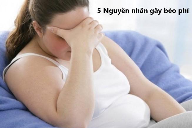 5 nguyên nhân thường gặp gây bệnh béo phì