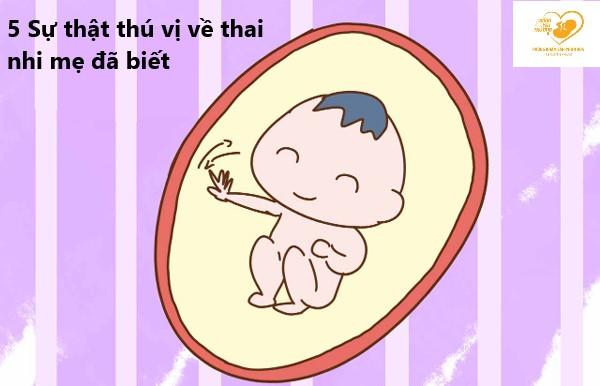 5 Sự thật thú vị về thai nhi có thể mẹ chưa biết