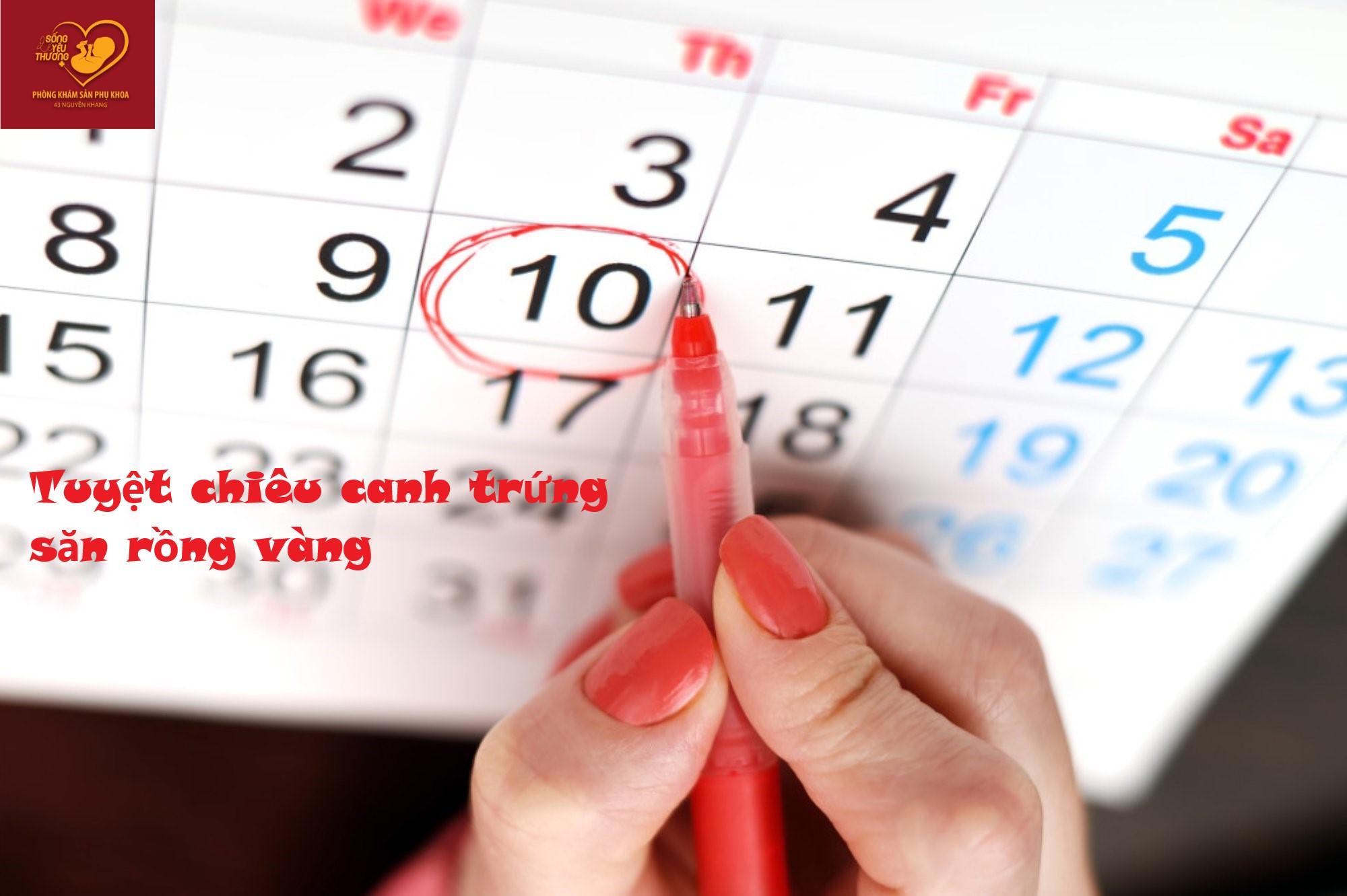 Tuyệt chiêu canh trứng săn rồng vàng