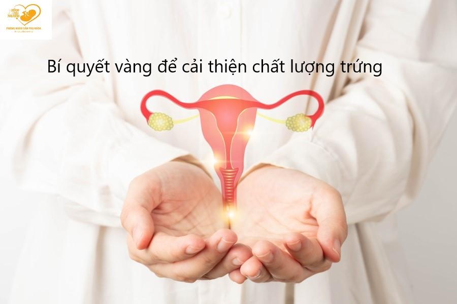 Bí quyết vàng giúp cải thiện chất lượng trứng