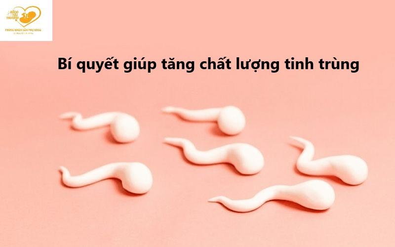 Bí quyết vàng giúp cải thiện chất lượng tinh trùng