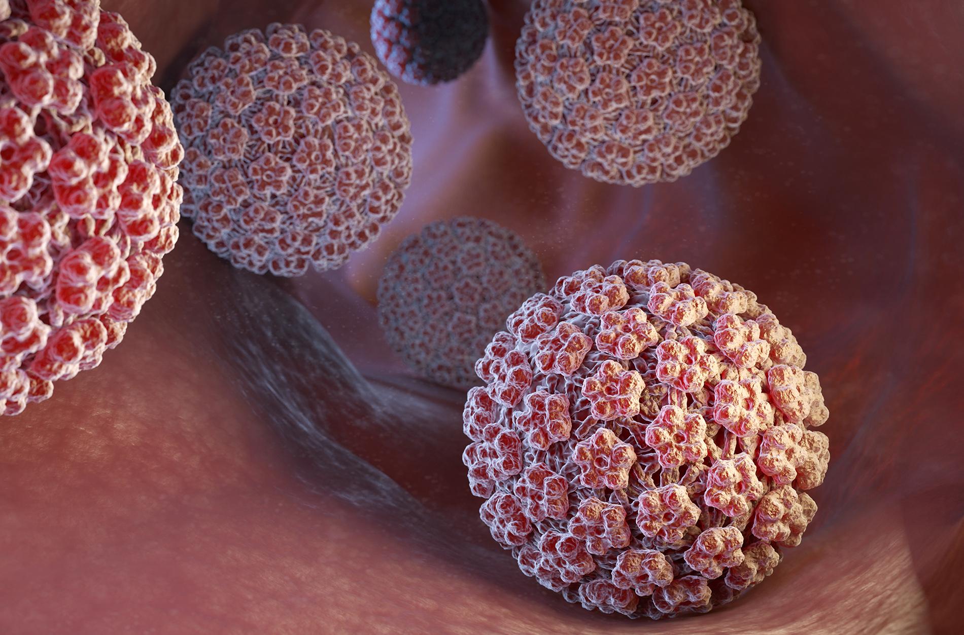Bạn có thực sự hiểu rõ về HPV?