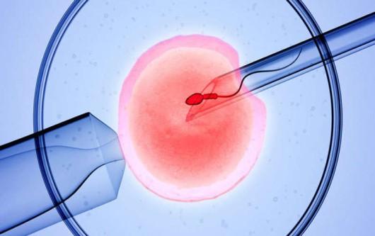 Nội mạc tử cung mỏng có ảnh hưởng đến hiệu quả ivf? 