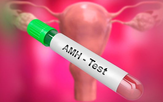 Xét nghiệm AMH để làm gì? Ai nên thực hiện?