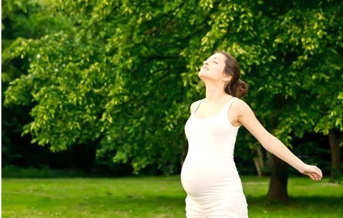 Thay đổi giải phẫu sinh lý ở phụ nữ khi mang thai