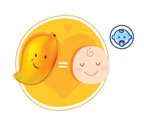 Sự phát triển của thai 19 tuần