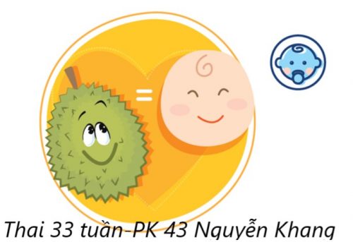Sự phát triển của thai 33 tuần