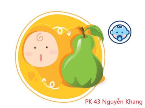 Sự phát triển của thai nhi 34 tuần