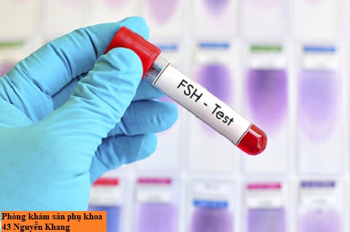 Tìm hiểu về hormone FSH