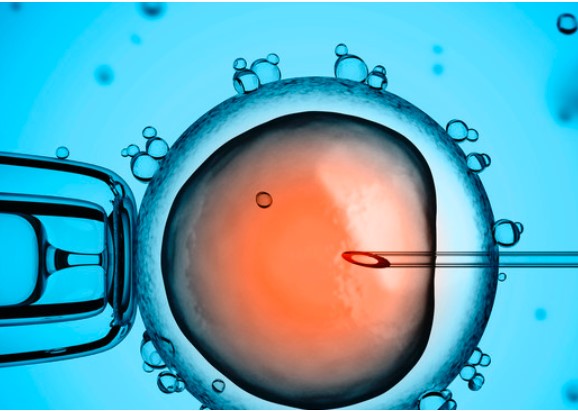 quy trình làm ivf