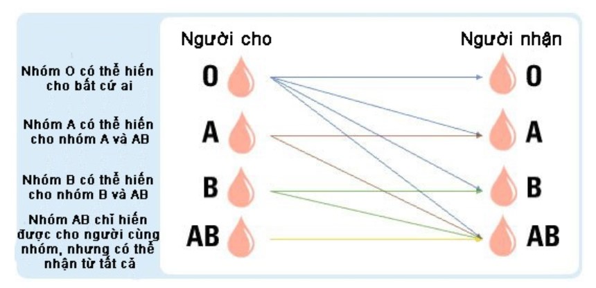 truyền sai nhóm máu