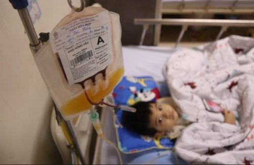 Tai biến có thể gặp khi truyền sai nhóm máu