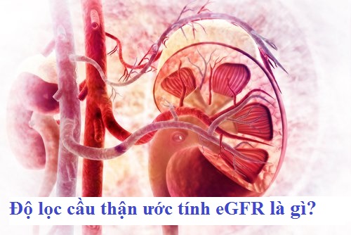 Độ lọc cầu thận ước tính eGFR là gì?