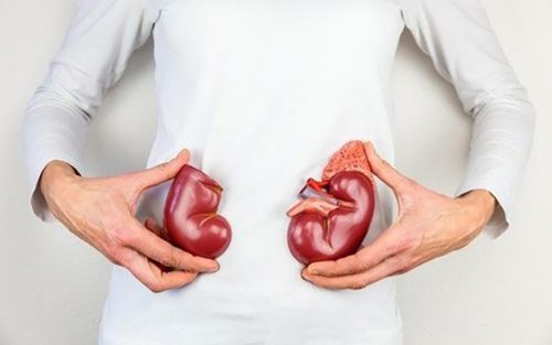 Định lượng chỉ số ure máu được chỉ định khi nào?