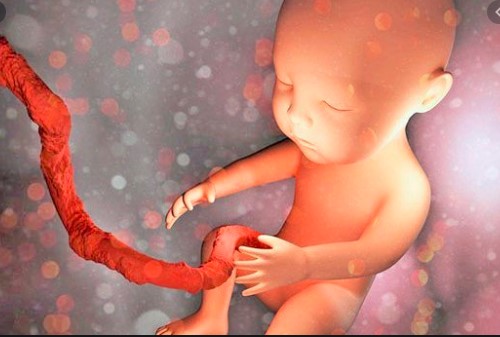 Dây rốn một động mạch có ảnh hưởng đến thai nhi không?