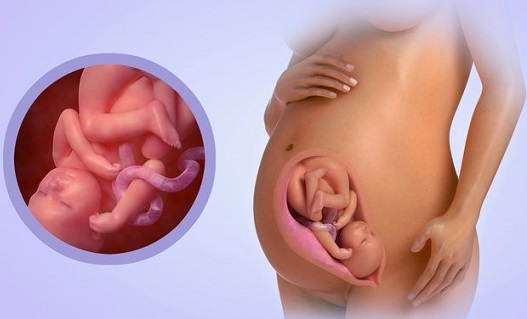 Bạn đã hiểu nước ối