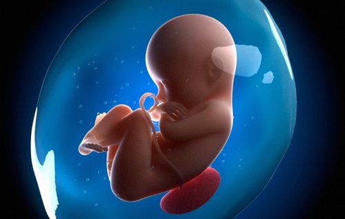 Kích thước túi ối bao nhiêu là bình thường