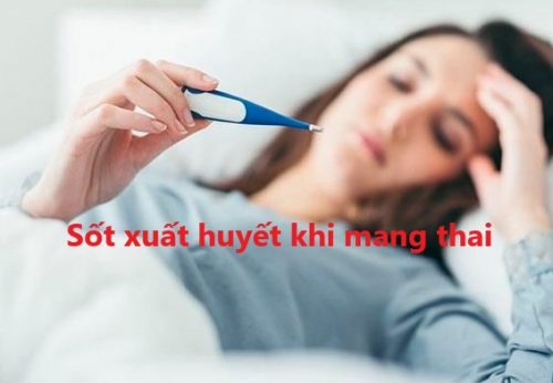 Sốt xuất huyết khi mang thai có phải bỏ thai