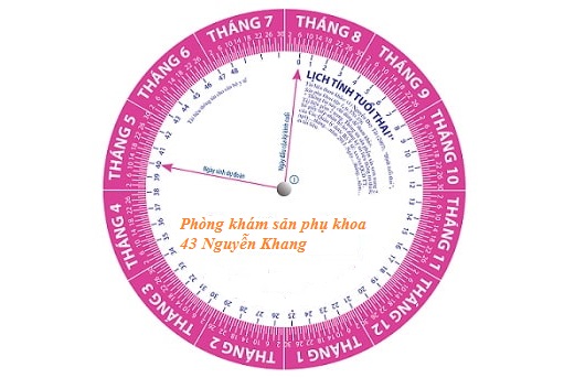Tính ngày dự kiến sinh như thế nào cho đúng