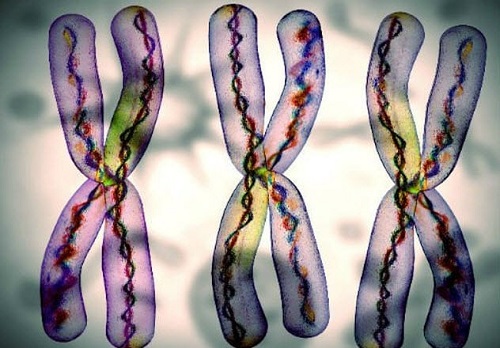 Khám tiền sản: Những kiểm tra không thể bỏ qua