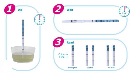 xác định ngày rụng trứng