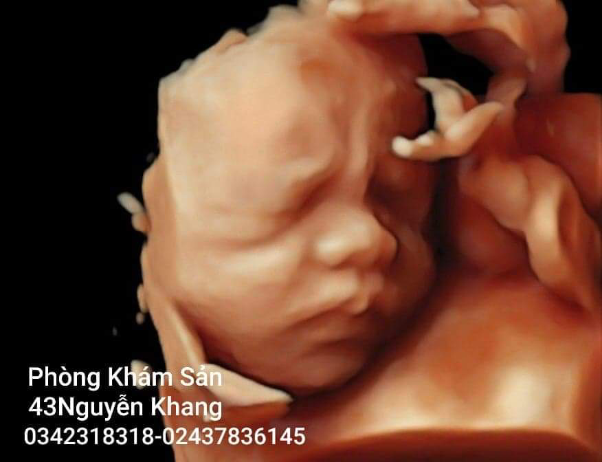 Những bất ngờ thú vị về thai nhi có thể mẹ chưa biết