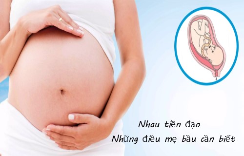 Nhau tiền đạo và những điều mẹ bầu cần biết