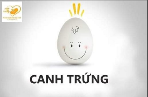 Thời điểm siêu âm canh trứng săn rồng vàng Giáp Thìn 