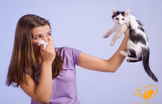 Nguyên nhân gây bệnh toxoplasmosis là gì?