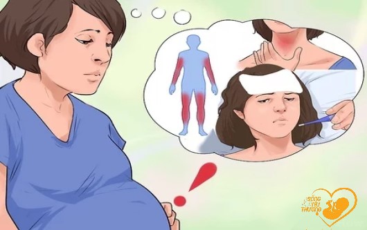 Toxoplasmosis là gì? Triệu chứng như thế nào?