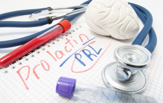 hormone Prolactin và sự tiết sữa