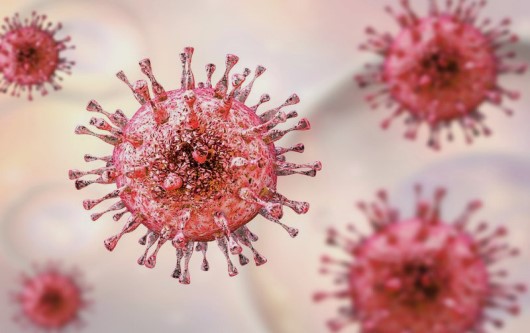 Nhiễm trùng cytomegalo virus và phương pháp chẩn đoán