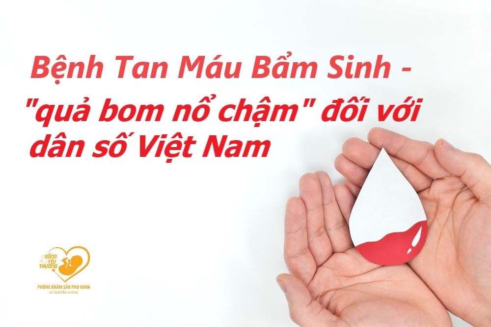 BỆNH TAN MÁU BẨM SINH THALASSEMIA – quả “bom nổ chậm” đối với dân số Việt Nam