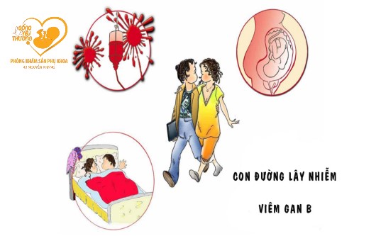 Những con đường lây truyền viêm gan B