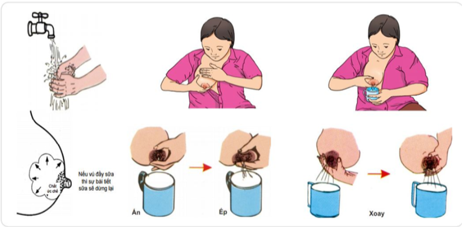 Hướng dẫn vắt sữa mẹ bằng tay