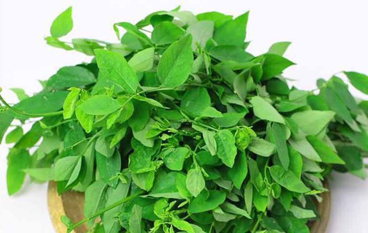 Bà bầu ăn rau ngót có được không