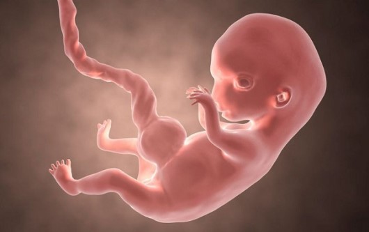 Thai lưu trong tử cung nguyên nhân và triệu chứng