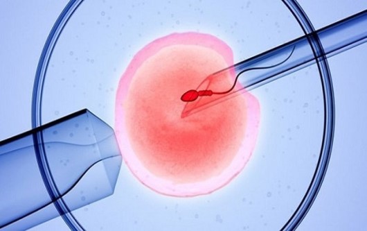 Chăm sóc mẹ mang thai IVF trong 3 tháng đầu